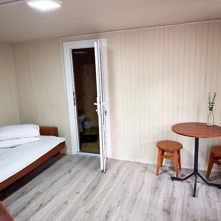 Hotel династія Solotvyno