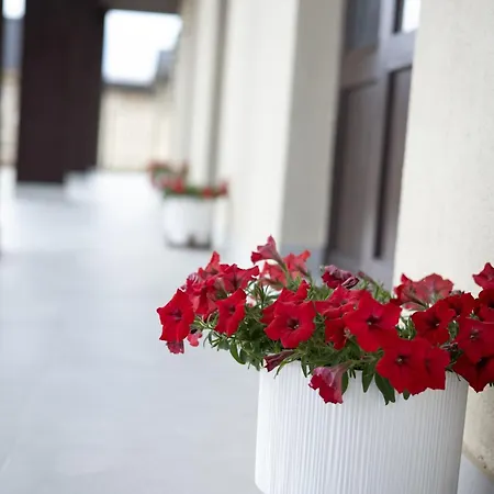 династія Solotvyno